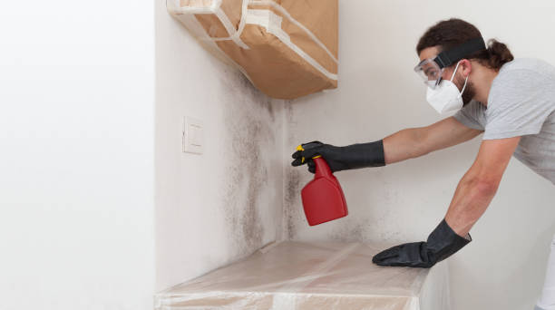 Attic Mold Remediation treatment on roof deck in Fulton